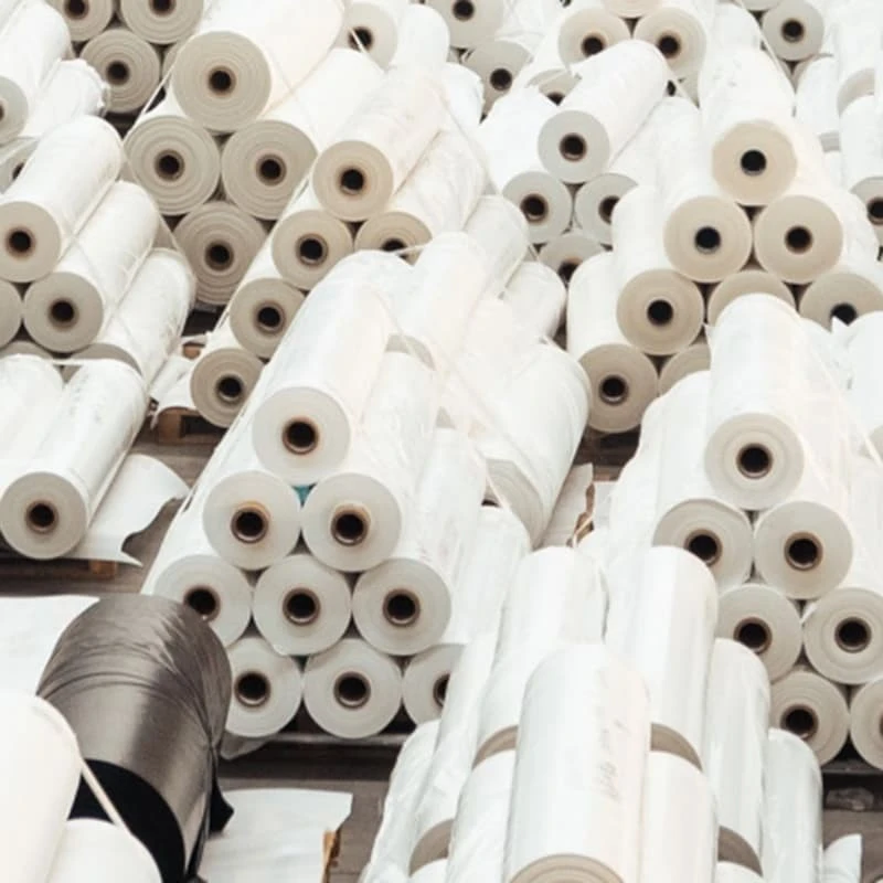Polyester Tpu Film price